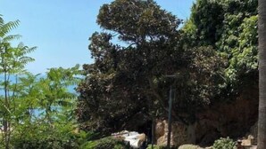A pathway with patterned tiles leading uphill, flanked by greenery and a rocky cliff. - Mini Paradise Torremolino (Torremolinos)