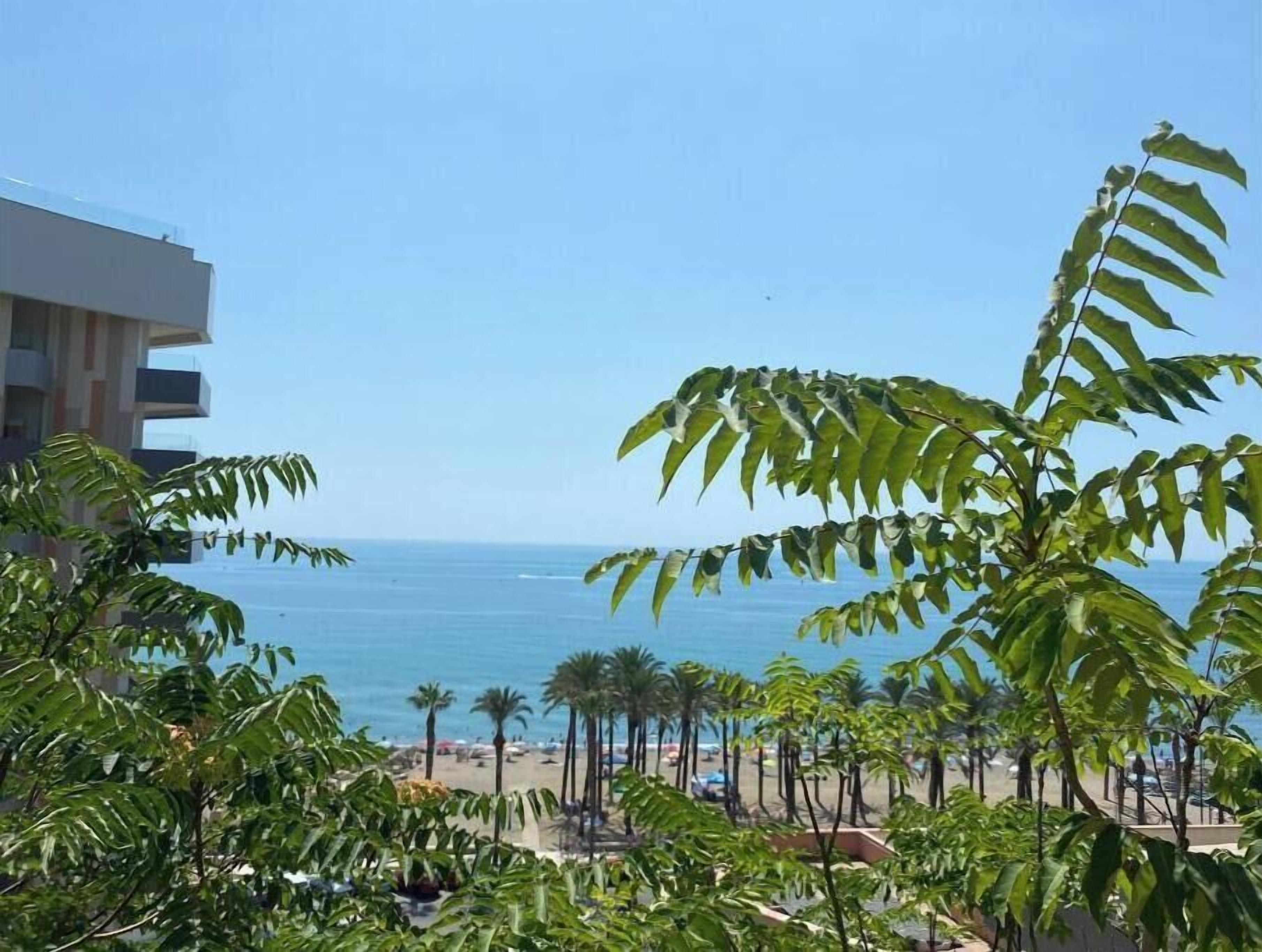 A beach view with palm trees and a building in the background.