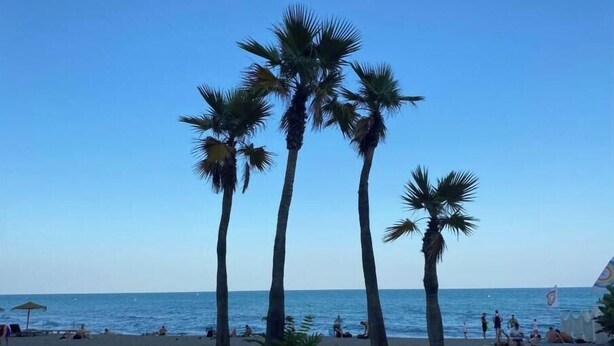 A beach with palm trees and people relaxing. - Mini Paradise Torremolino (Torremolinos)