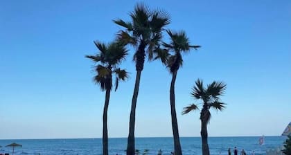 Mini Paradise Torremolino