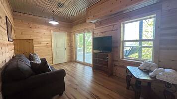 TV, fireplace, video games, offices
