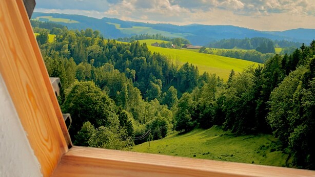 A view through a window with a wooden frame, overlooking a green landscape with trees and distant hills. - Apartment with Panoramic View (Sankt Märgen)