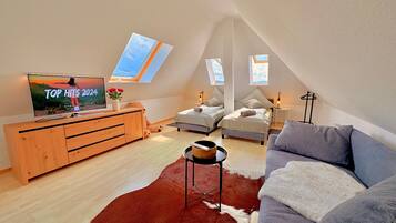 Fernseher
