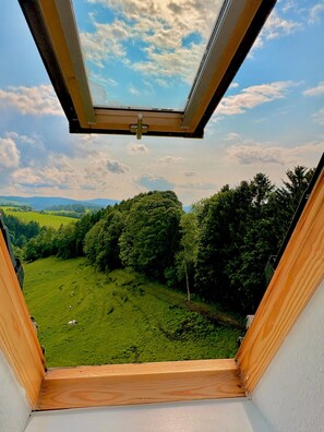 Una finestra a lucernario con vista su un paesaggio verde e alberi.