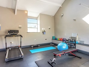 A gym with a treadmill, exercise balls, dumbbells, and a bench.