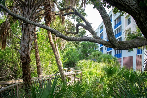 A lush garden with a wooden bridge, palm trees, and a building with blue windows in the background.