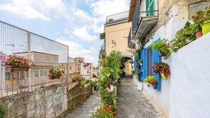 Un étroit sentier de pierre, bordé de bâtiments aux volets bleus et agrémenté de plantes en pot.
