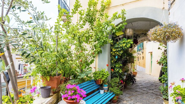 Une ruelle étroite, pavée de pierres, avec un banc bleu, des plantes en pot et une arche.