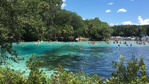 Ein tropischer Strand mit klarem türkisblauem Wasser, üppiger Vegetation und ein paar Booten in der Ferne.