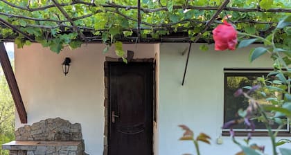 Lyubovka House