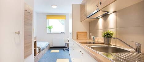 Fridge, stovetop, cookware/dishes/utensils