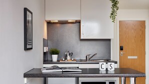 A modern kitchen with a granite countertop, stainless steel appliances, and a small potted plant. - For Students Only - Modern Accommodation in Leeds City Centre (Leeds)