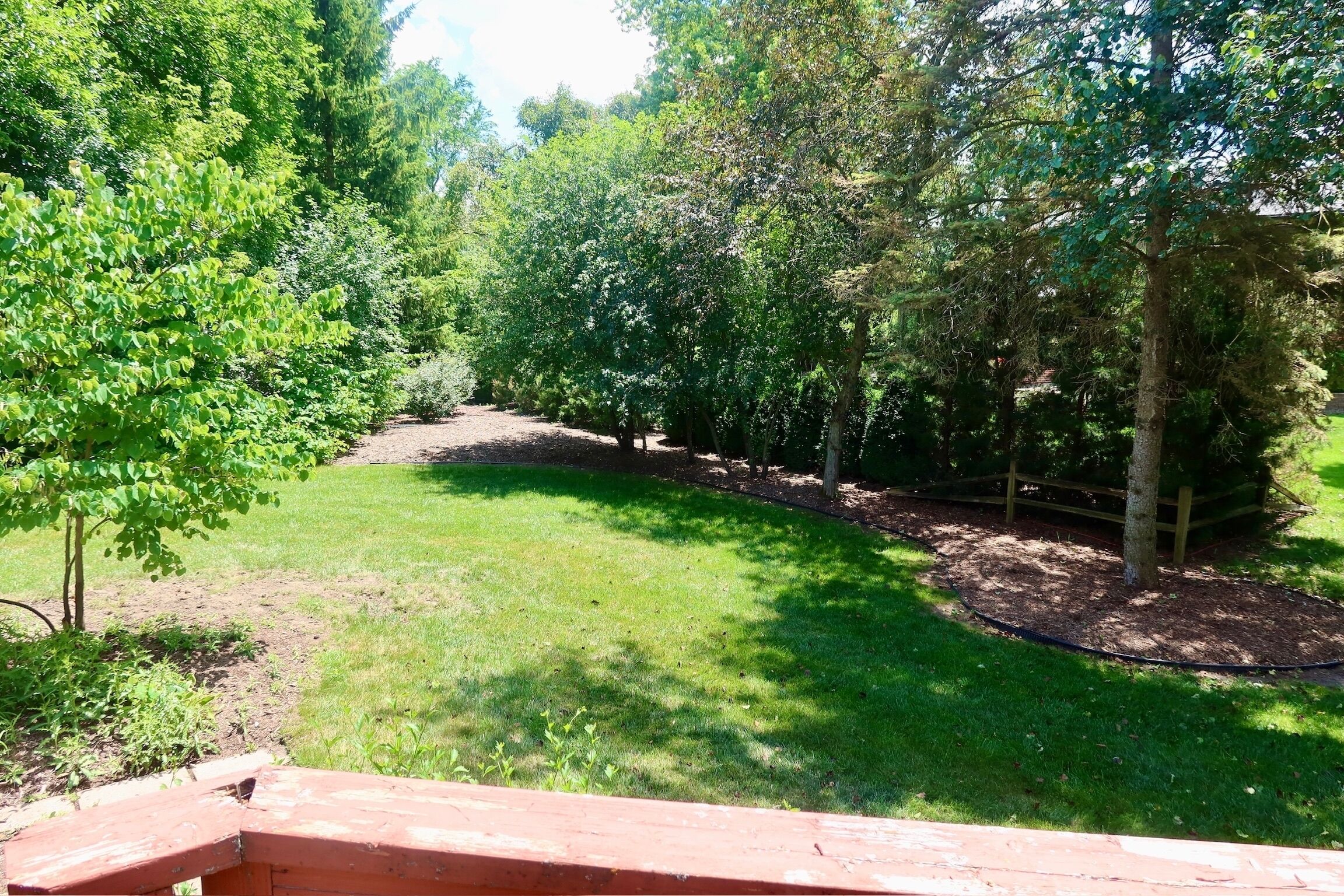 A well-maintained garden with a variety of trees and a grassy area.