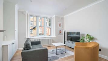 Fernseher, Arbeitsbereiche