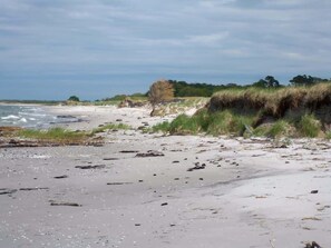 Una playa con arena, rocas y vegetación escasa.