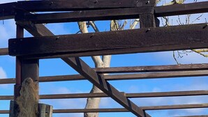 Eine Holzkonstruktion mit einem Seilnetz, das über einen Strand mit Wellen blickt.