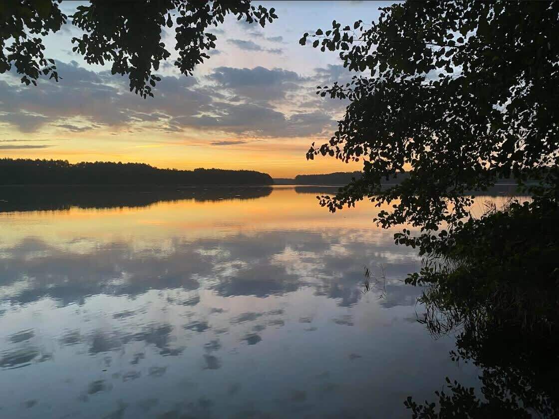 Un lago tranquilo al atardecer, con árboles enmarcando la vista.