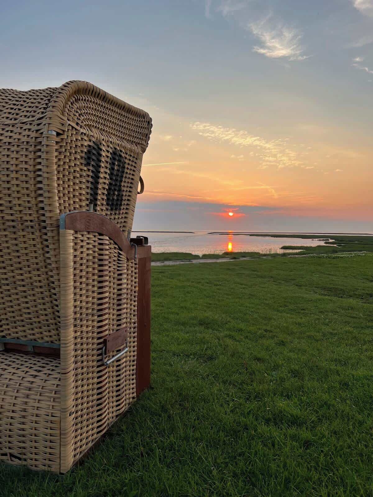 Une chaise en osier, dotée d’une structure métallique et de sangles en cuir, placée sur un champ herbeux, d’où l’on peut admirer le coucher de soleil sur l’eau.