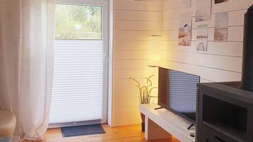 Fernseher, Kamin