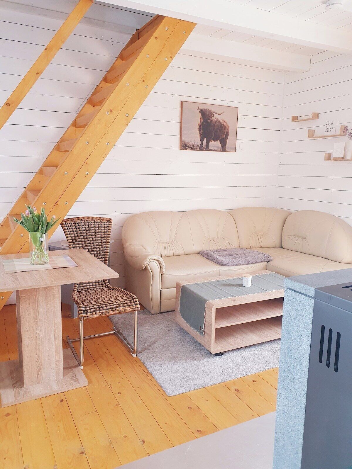 Fernseher, Kamin
