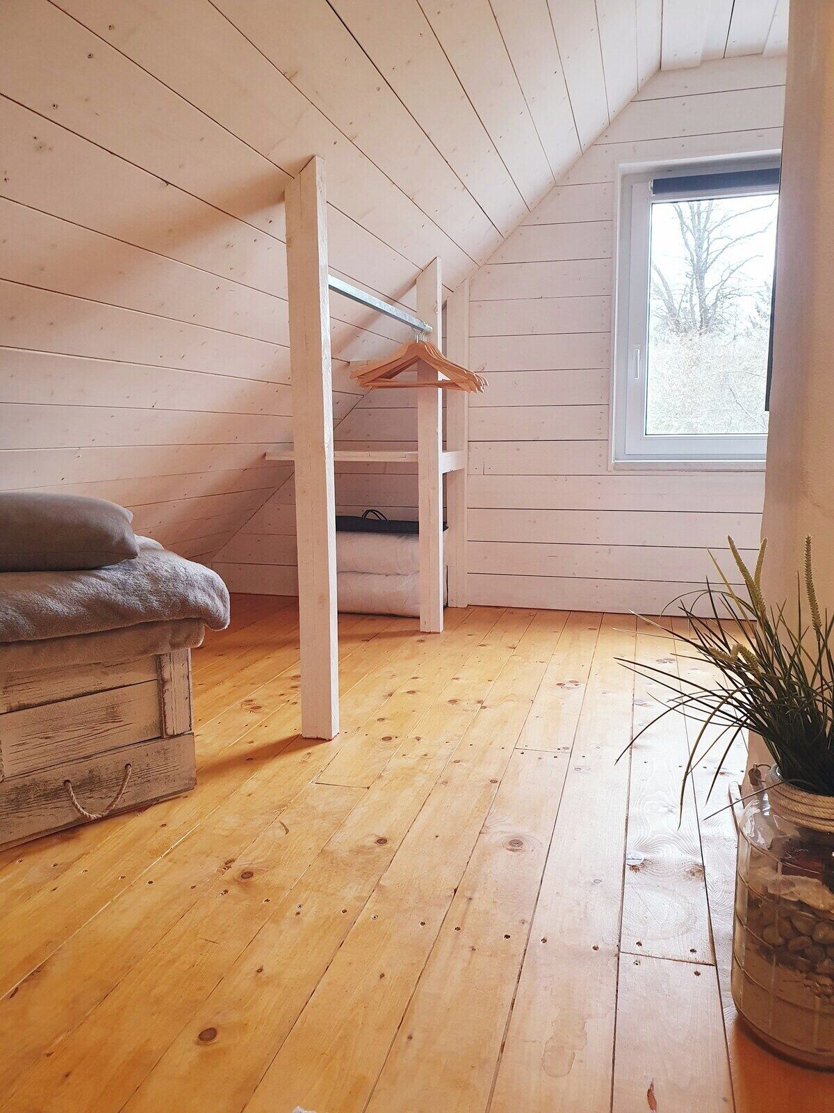 A room with wooden flooring, a loft bed, a window, and a plant.