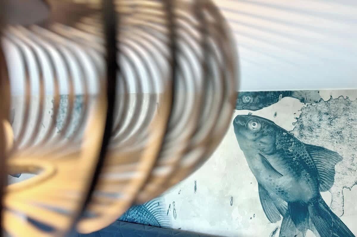Un aquarium contenant un poisson et une structure décorative en forme de spirale.