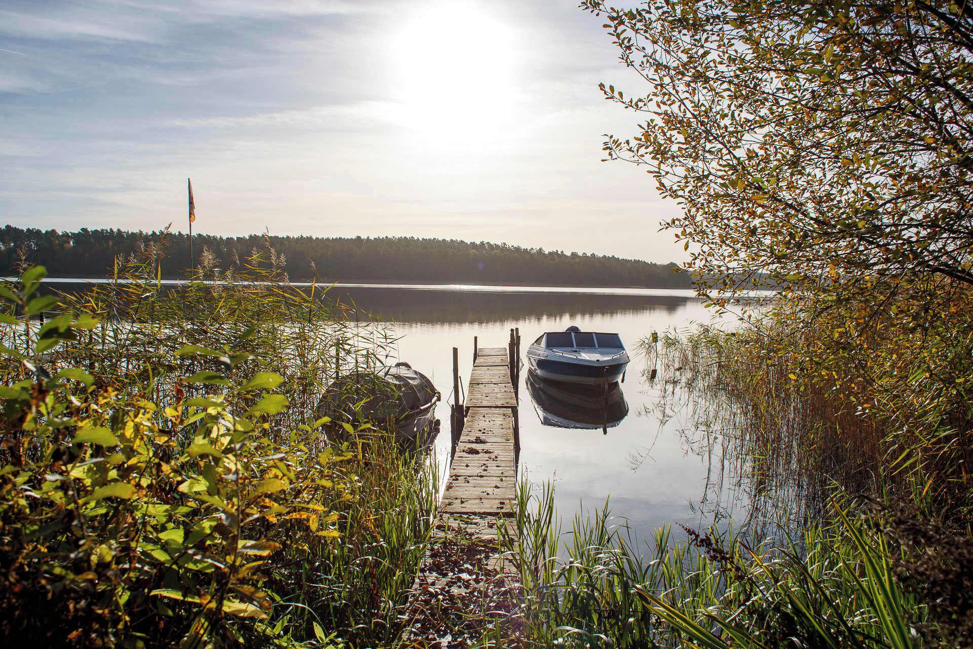A calm lake with a dock leading to a boat, surrounded by dense vegetation and a forest in the background.