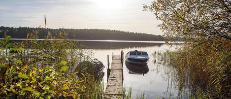 A calm lake with a dock leading to a boat, surrounded by dense vegetation and a forest in the background.