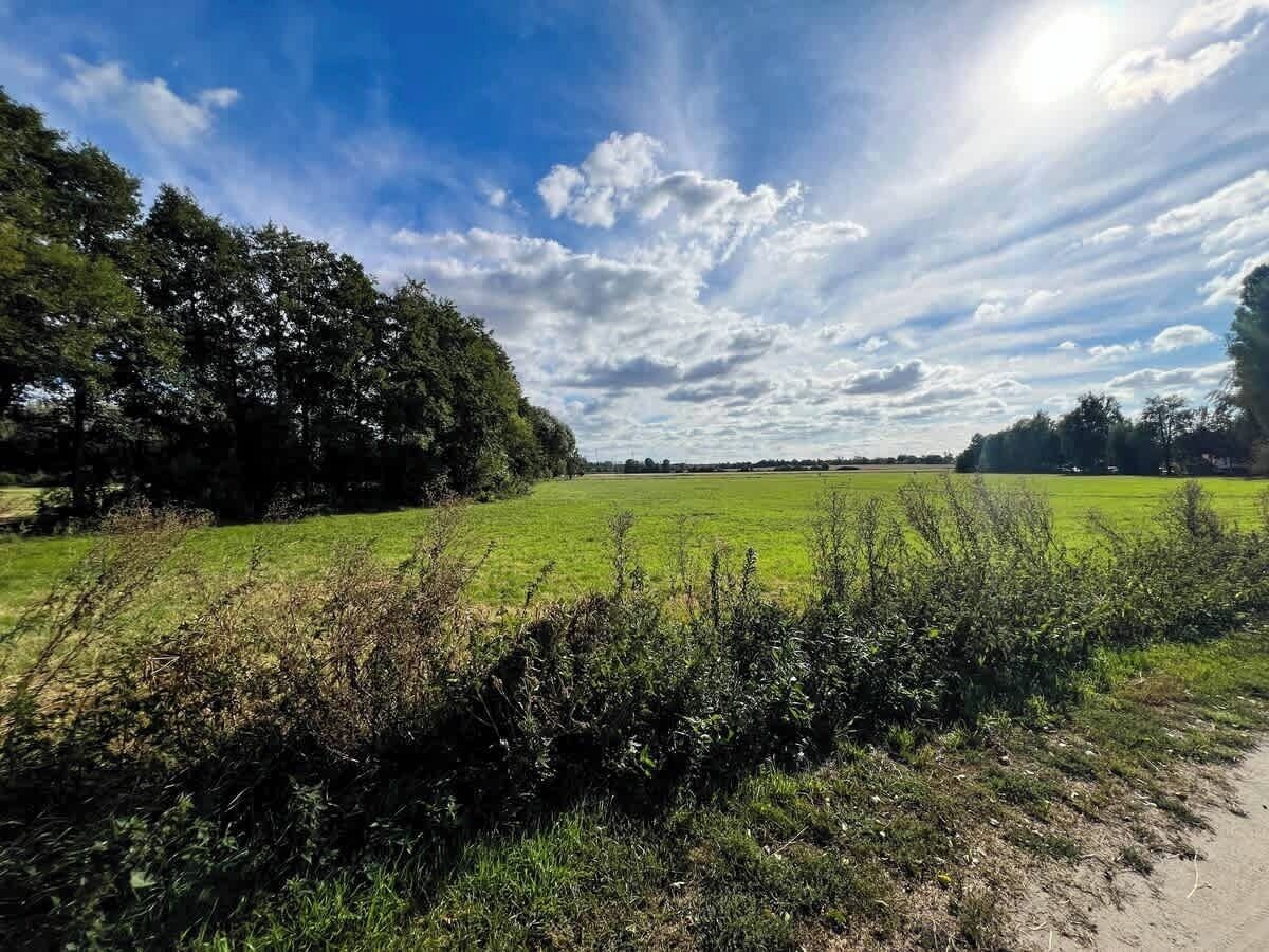 Un paysage rural avec un chemin de terre, des champs verdoyants et des arbres sous un ciel partiellement nuageux.