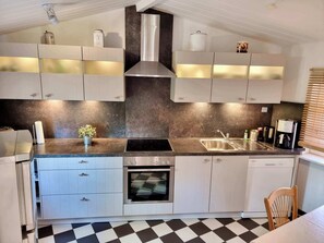 Fridge, oven, stovetop, dishwasher