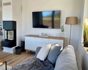 Televisión, chimenea, libros y oficina 