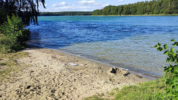 Ein sandiger Strand mit klarem Wasser, umgeben von viel Grün und Bäumen.