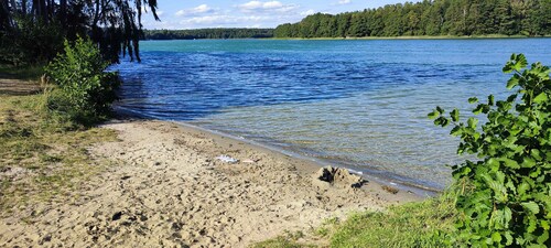 Villa Wildrose mit Sauna und Beachfußballplatz