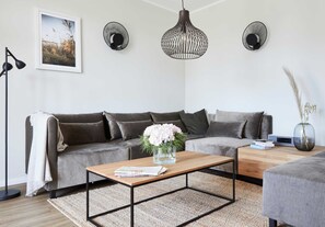 Una televisión, una chimenea