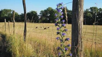 Natur-Nähe