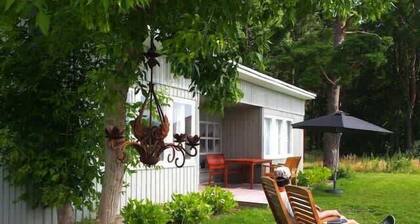 Gut Pälitzhof - Ferienhaus 2