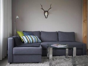 TV, fireplace, books