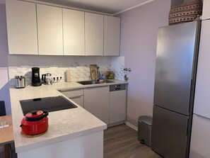 Fridge, oven, stovetop, dishwasher