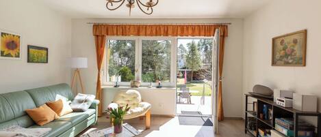 電視、壁爐、DVD 播放機