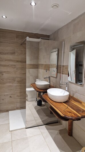 Shower, hair dryer, toilet paper