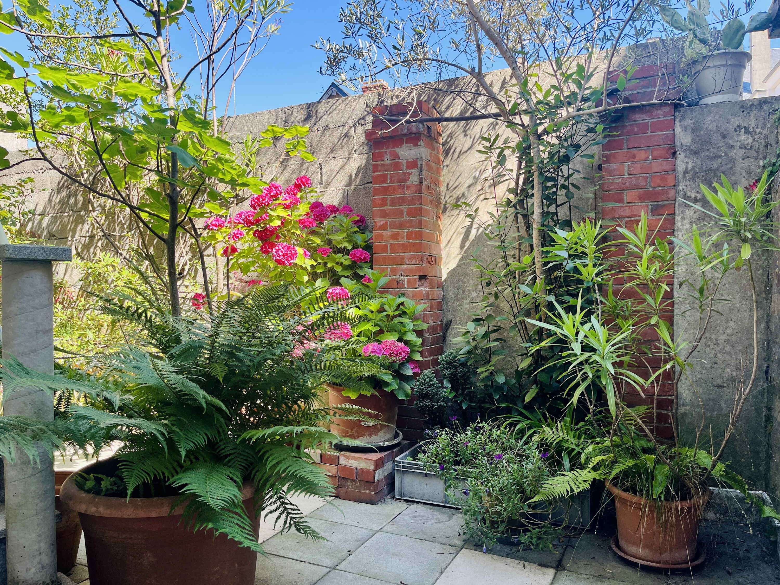 Jardines del alojamiento