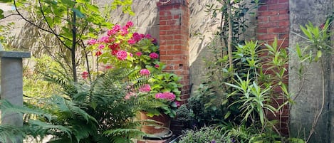 Jardines del alojamiento