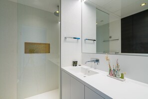 Shower, hair dryer, towels