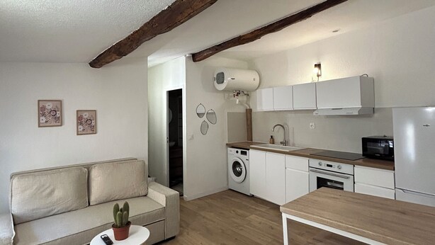 A compact living space with a kitchenette, a sofa, a small table, and a washing machine.