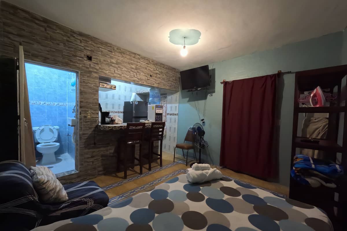 A compact room with a bed, a small kitchenette, a bathroom with a toilet and shower, and a large window.