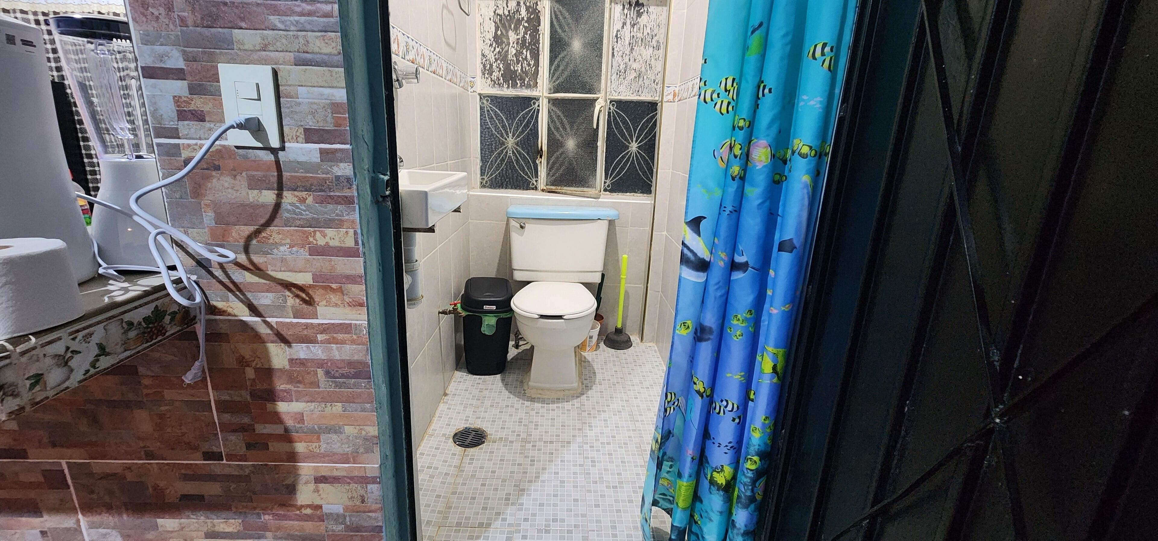 A bathroom with a toilet, sink, and shower curtain.