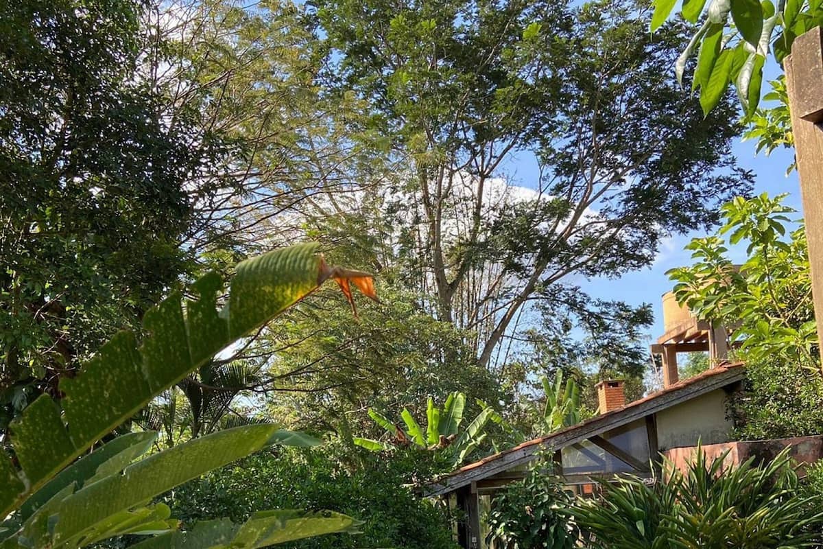 Garden view