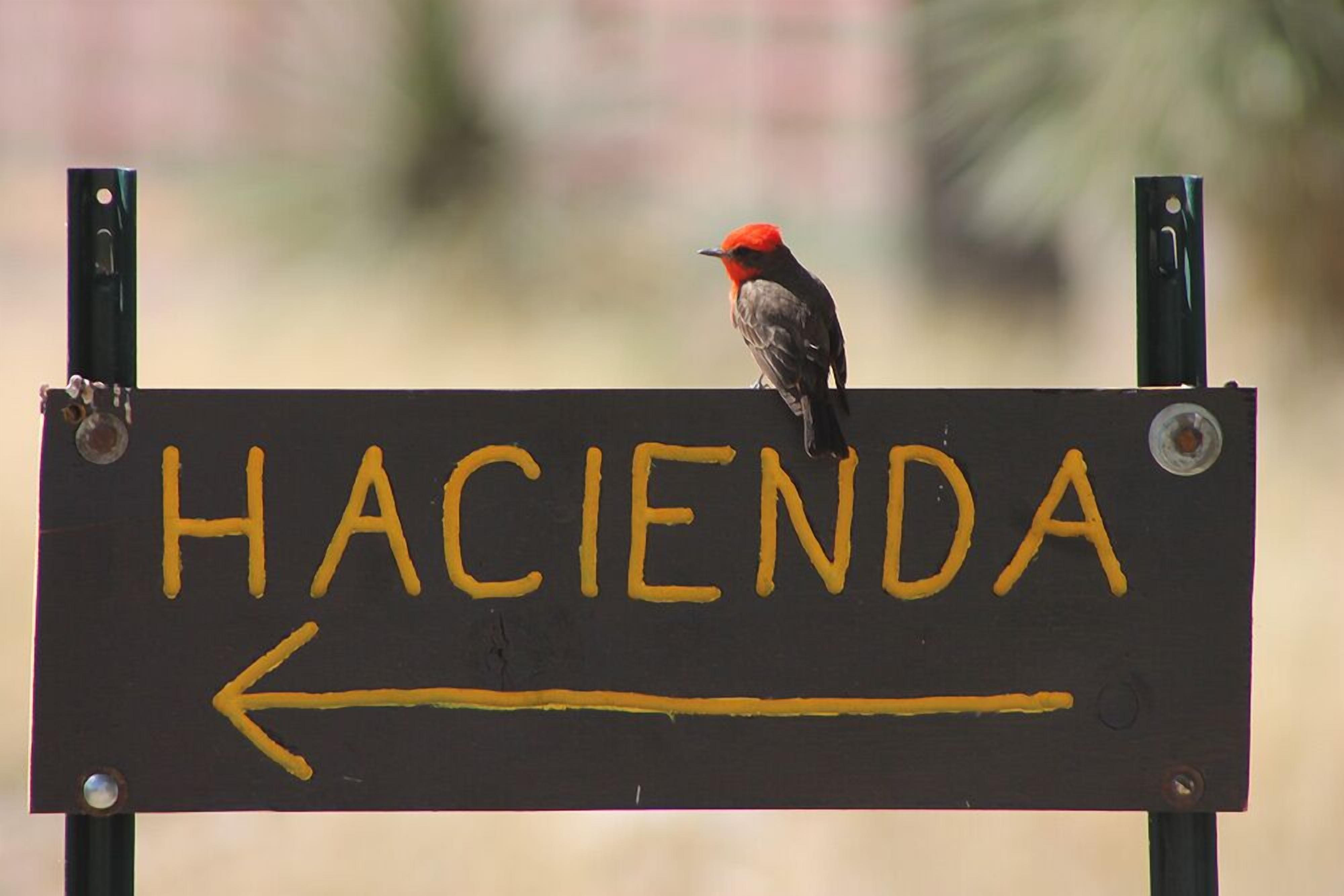 Een bord met de tekst 'HACIENDA' en een naar links wijzende pijl.
