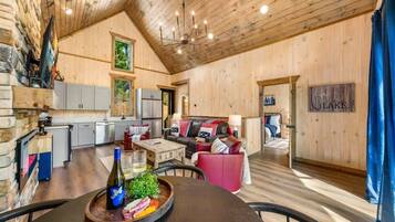 TV, fireplace, video games