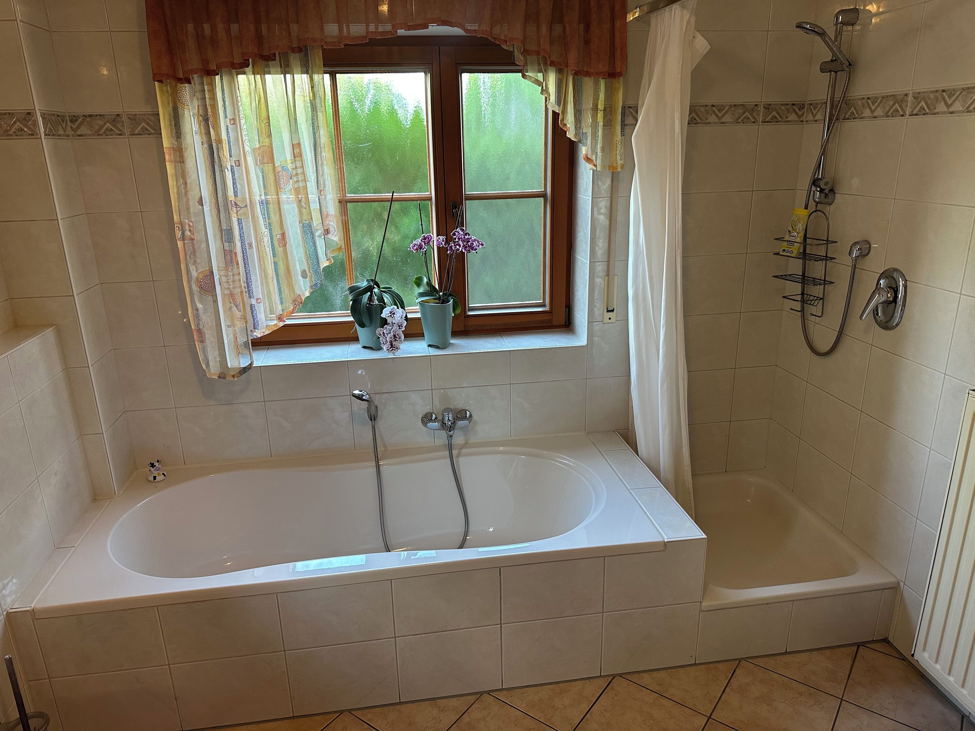 Shower, hair dryer, bidet, towels